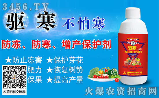 小麥多少度會發生凍害 發生凍害的條件 補救措施 小麥多少度會發生凍害 發生凍害的條件 補救措施