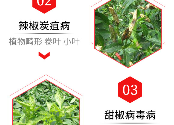 烯·羥·硫酸銅(80g)-倍爾農化 烯·羥·硫酸銅(80g)-倍爾農化