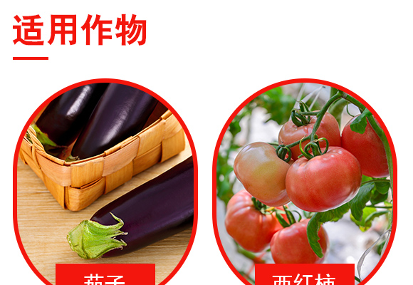 閮戝窞涓鍫傚啘浣滅墿淇濇姢鏈夐檺鍏徃浜у搧璇︽儏欏?_04.jpg 閮戝窞涓鍫傚啘浣滅墿淇濇姢鏈夐檺鍏徃浜у搧璇︽儏欏?_04.jpg