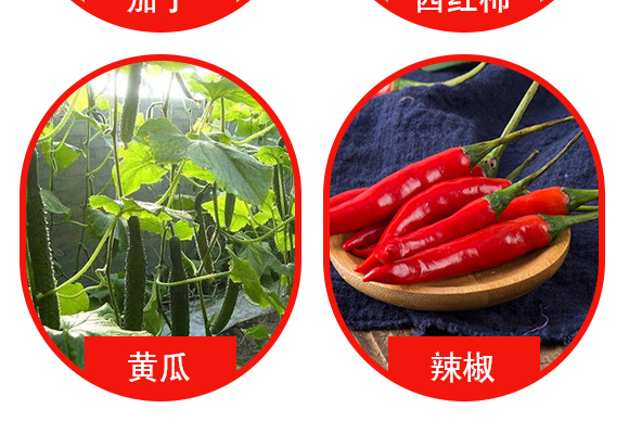 閮戝窞涓鍫傚啘浣滅墿淇濇姢鏈夐檺鍏徃浜у搧璇︽儏欏?_05.jpg 閮戝窞涓鍫傚啘浣滅墿淇濇姢鏈夐檺鍏徃浜у搧璇︽儏欏?_05.jpg