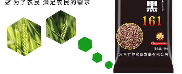 運黑161-黑小麥種子 運黑161-黑小麥種子