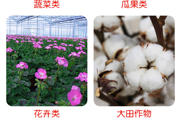鍗楅槼甯傞緳鏄囧寲宸ユ湁闄愬叕鍙鎬駭鍝佽鎯呴〉1_07.jpg 鍗楅槼甯傞緳鏄囧寲宸ユ湁闄愬叕鍙鎬駭鍝佽鎯呴〉1_07.jpg