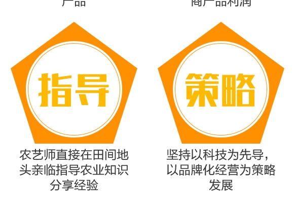 花生千斤寶-花多收-三禾肥業 花生千斤寶-花多收-三禾肥業