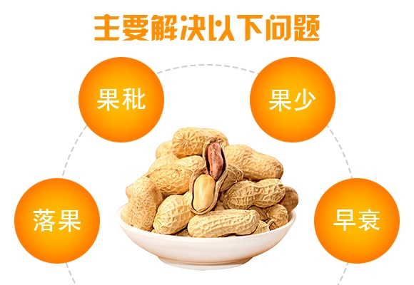 花生千斤寶-花多收-三禾肥業 花生千斤寶-花多收-三禾肥業