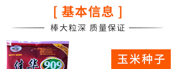 佳華909-玉米種子-天成種業