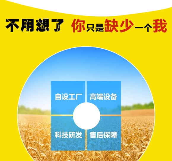 濮麥6311-小麥種子-邦邦種業 濮麥6311-小麥種子-邦邦種業