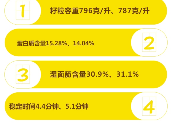 濮麥6311-小麥種子-邦邦種業 濮麥6311-小麥種子-邦邦種業