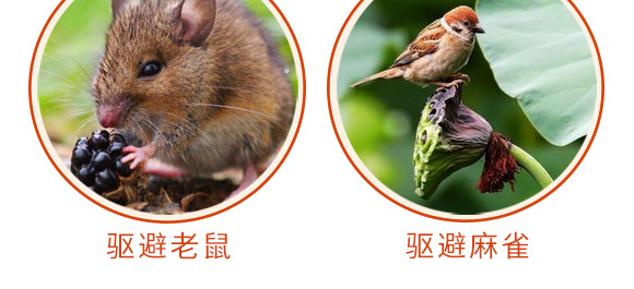驅(qū)鳥香精包-鳥克-艾豐生物 驅(qū)鳥香精包-鳥克-艾豐生物
