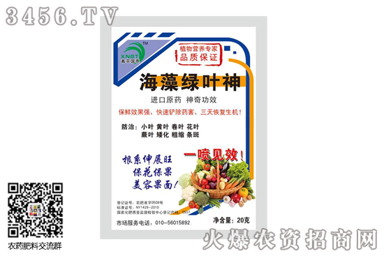 辣椒卷葉是怎么回事 辣椒卷葉打什么農藥 辣椒卷葉是怎么回事 辣椒卷葉打什么農藥