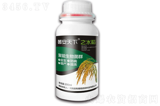 水稻什么時候播種 水稻播種時間 水稻種植技術與管理 水稻什么時候播種 水稻播種時間 水稻種植技術與管理
