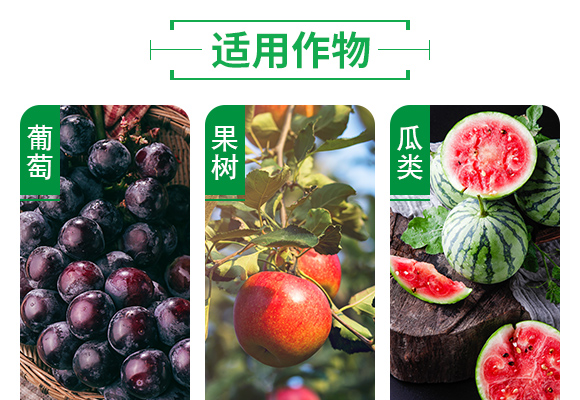 25%噻虫嗪悬剂_05.jpg