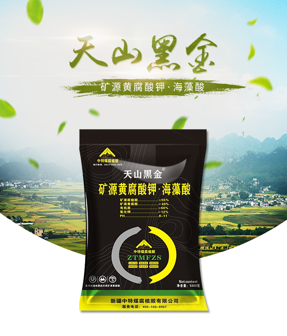 鐭挎簮榛勮厫閰擱捑路嫻瘋椈閰?澶╁北榛戦噾-涓壒鐓01.jpg 鐭挎簮榛勮厫閰擱捑路嫻瘋椈閰?澶╁北榛戦噾-涓壒鐓01.jpg
