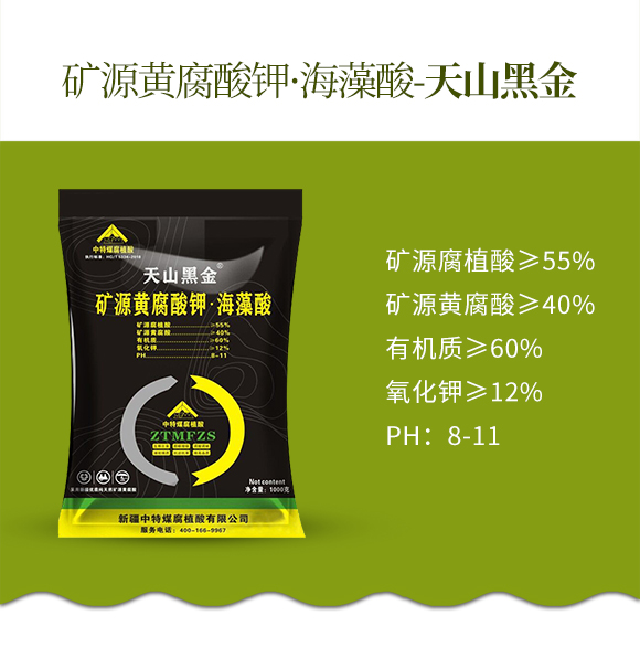 鐭挎簮榛勮厫閰擱捑路嫻瘋椈閰?澶╁北榛戦噾-涓壒鐓03.jpg 鐭挎簮榛勮厫閰擱捑路嫻瘋椈閰?澶╁北榛戦噾-涓壒鐓03.jpg