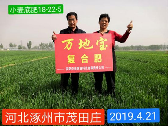 未标?4.jpg
