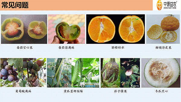 DBA增重剂_04.jpg