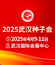 2025hNӕ