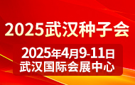 2025hNӕ  