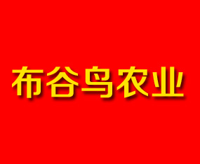 ϲBrIƼ޹˾2019ʡֲ-2019ʡֲϢrˎеו