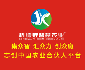 տƵǻrI޹˾