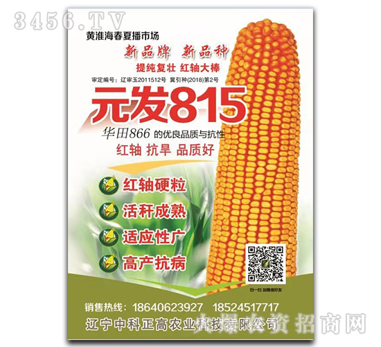 Ԫl815-׷N-п