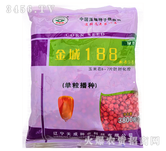 金城188(新丹9號)-玉米種子-天成種業
