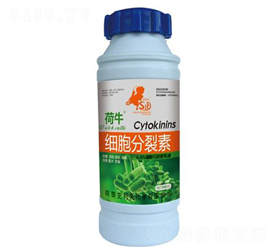 細胞分裂素-荷牛-史利夫