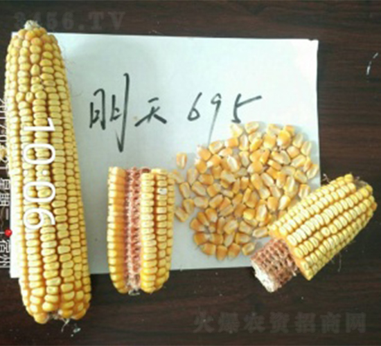 695-׷N-NI