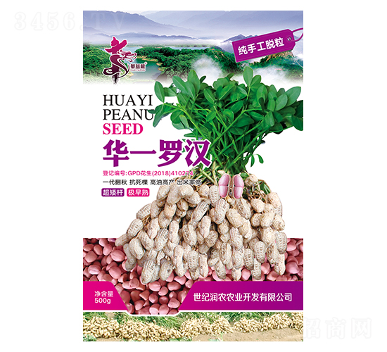 華一羅漢-花生種子-華一種業