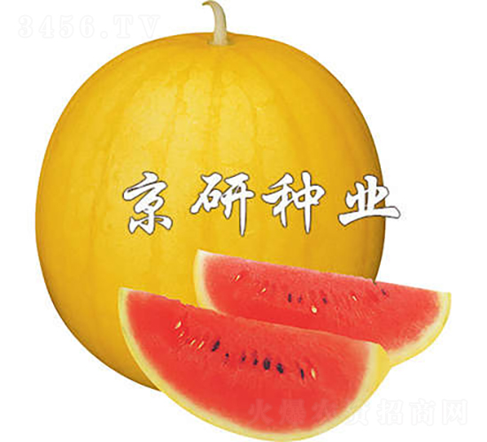 SƤ1̖-ϷN-зNI(y)