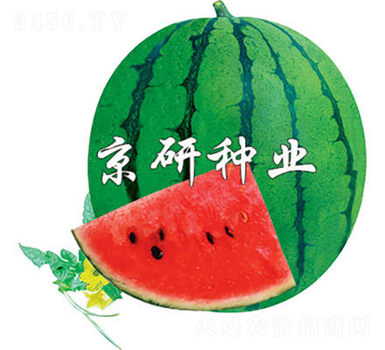 3̖-ϷN-зNI