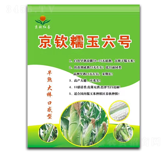 京欽糯玉六號(hào)-玉米種子-京欽紅喜