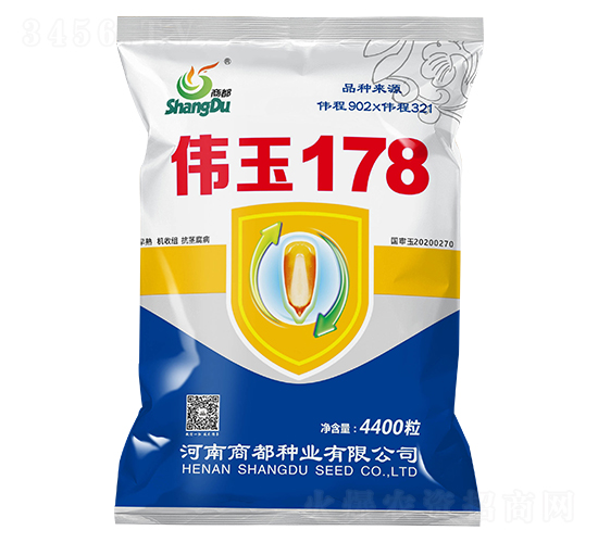 偉玉178-玉米種子-商都種業