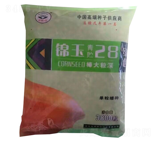 錦玉青貯28-玉米種子-天成種業