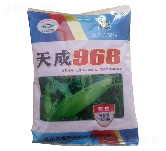 天成968-玉米種子-農哈哈-天成種業