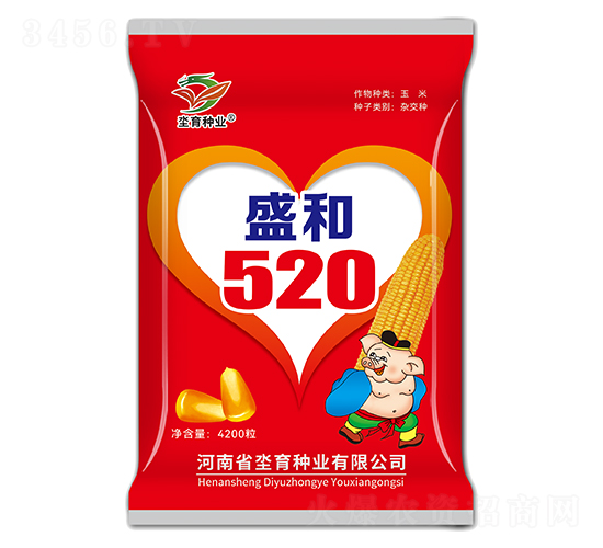 盛和520-玉米種子-坔育種業