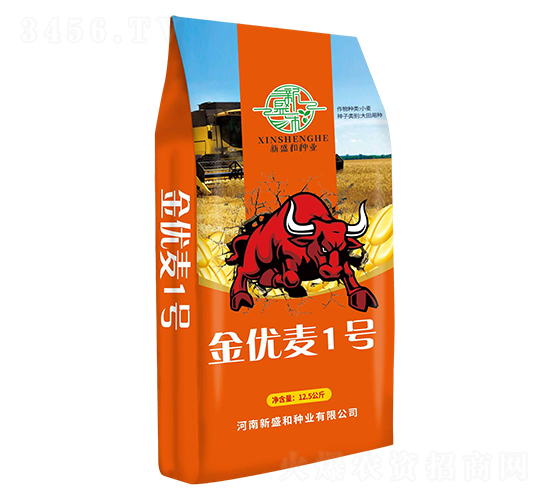 金優麥1號-小麥種子-紅太陽