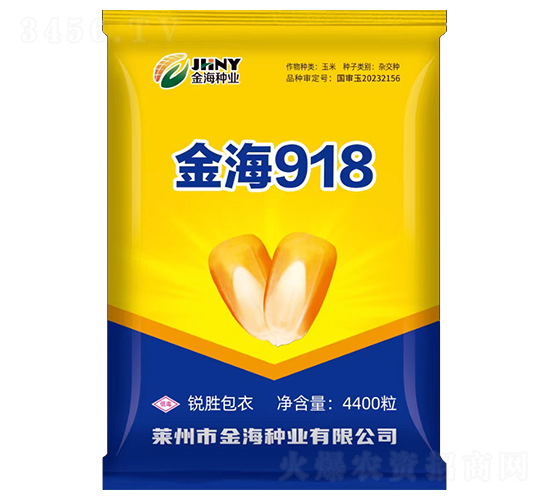 金海918-玉米種子-金海農創