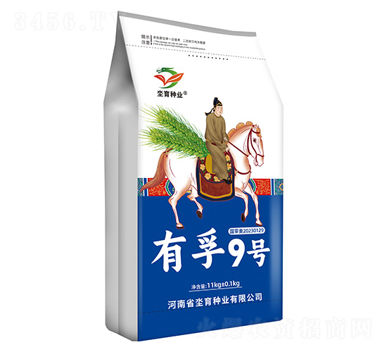 小麥種子-有孚9號-坔育種業