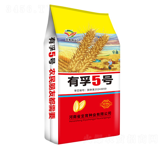 小麥種子-有孚5號-坔育種業(yè)