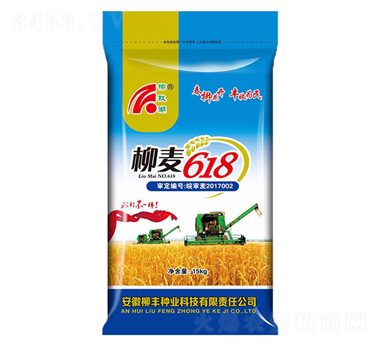 柳麥618小麥種子-柳豐種業