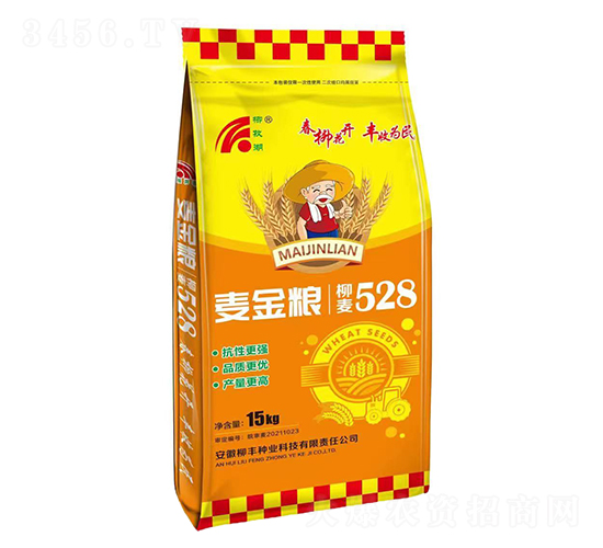 柳麥528小麥種子-柳豐種業