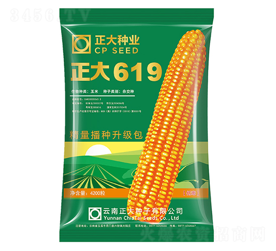 正大619-玉米種子-正大種業