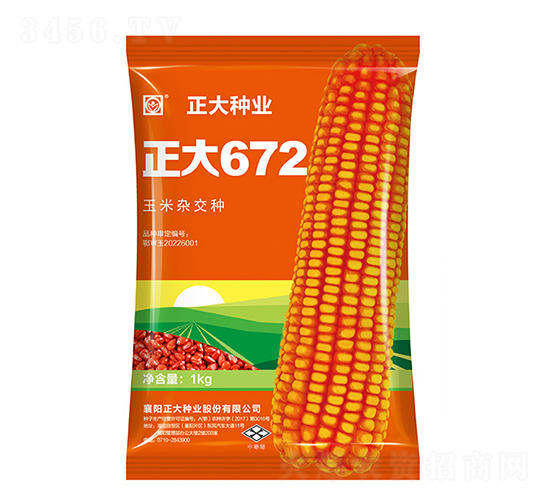 正大672-玉米種子-正大種業