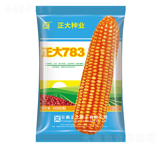 正大783-玉米種子-正大種業