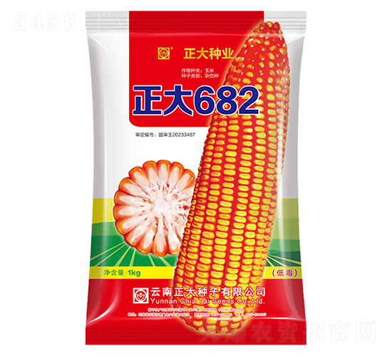 正大682-玉米種子-正大種業