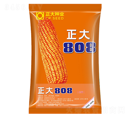 正大808-玉米種子-正大種業