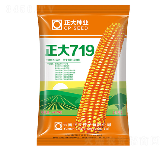 正大719-玉米種子-正大種業