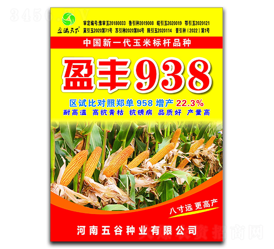 盈豐938玉米種子-盈滿天下-五谷種業