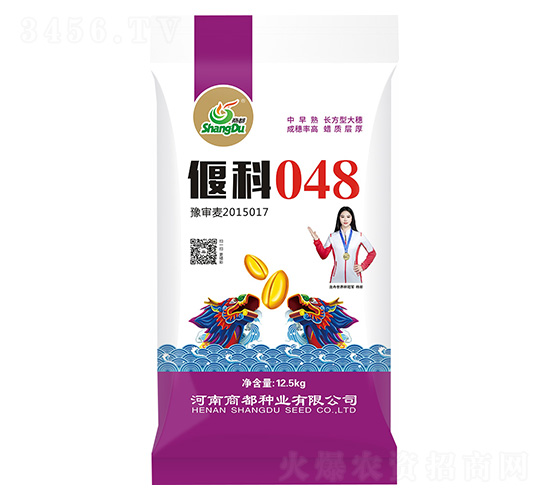 偃科048-小麥種-商都種業