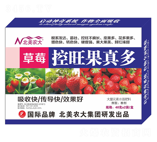 草莓控旺果真多-北美農大